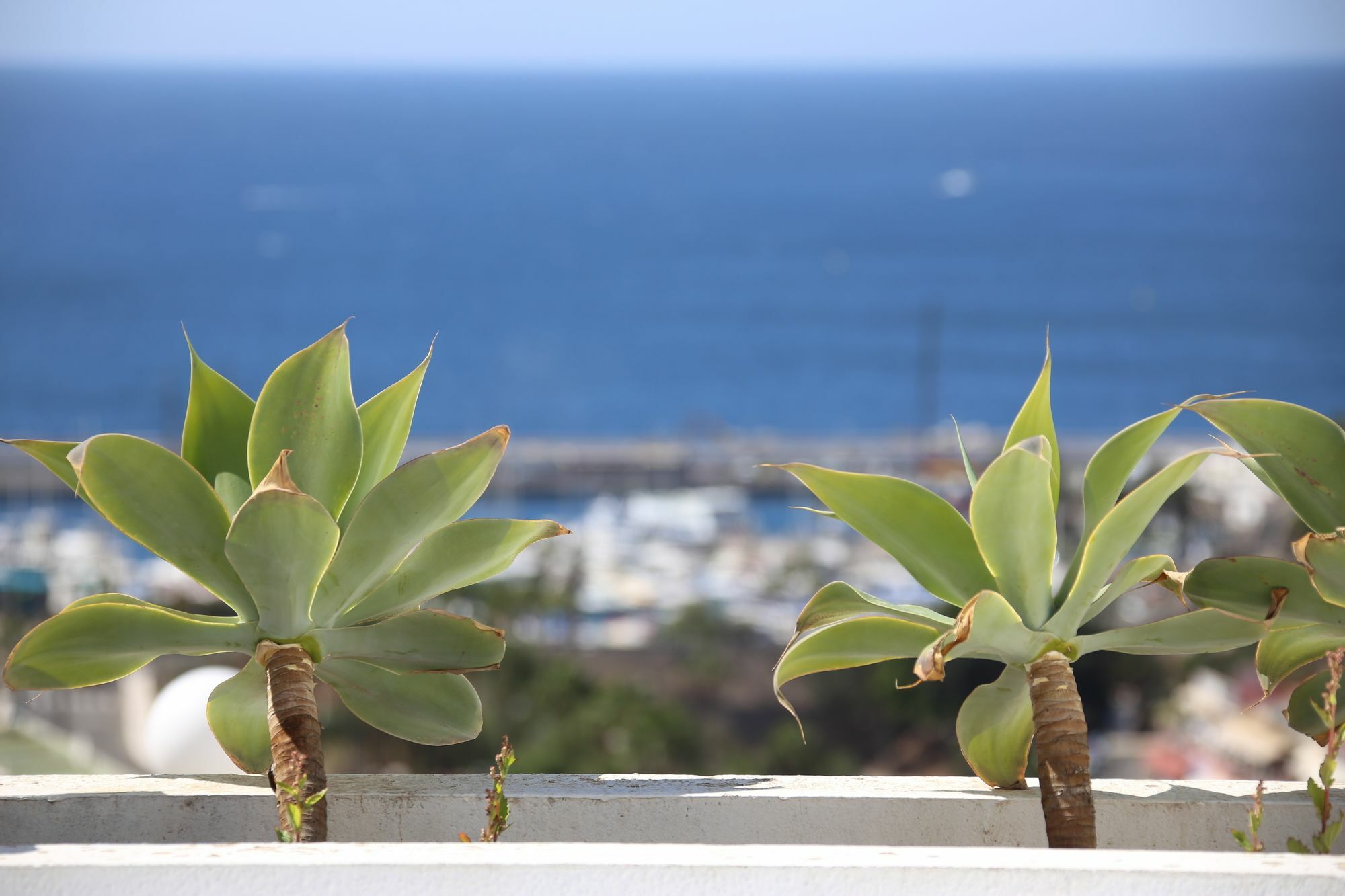 Apartamentos Halley Puerto Rico  Dış mekan fotoğraf