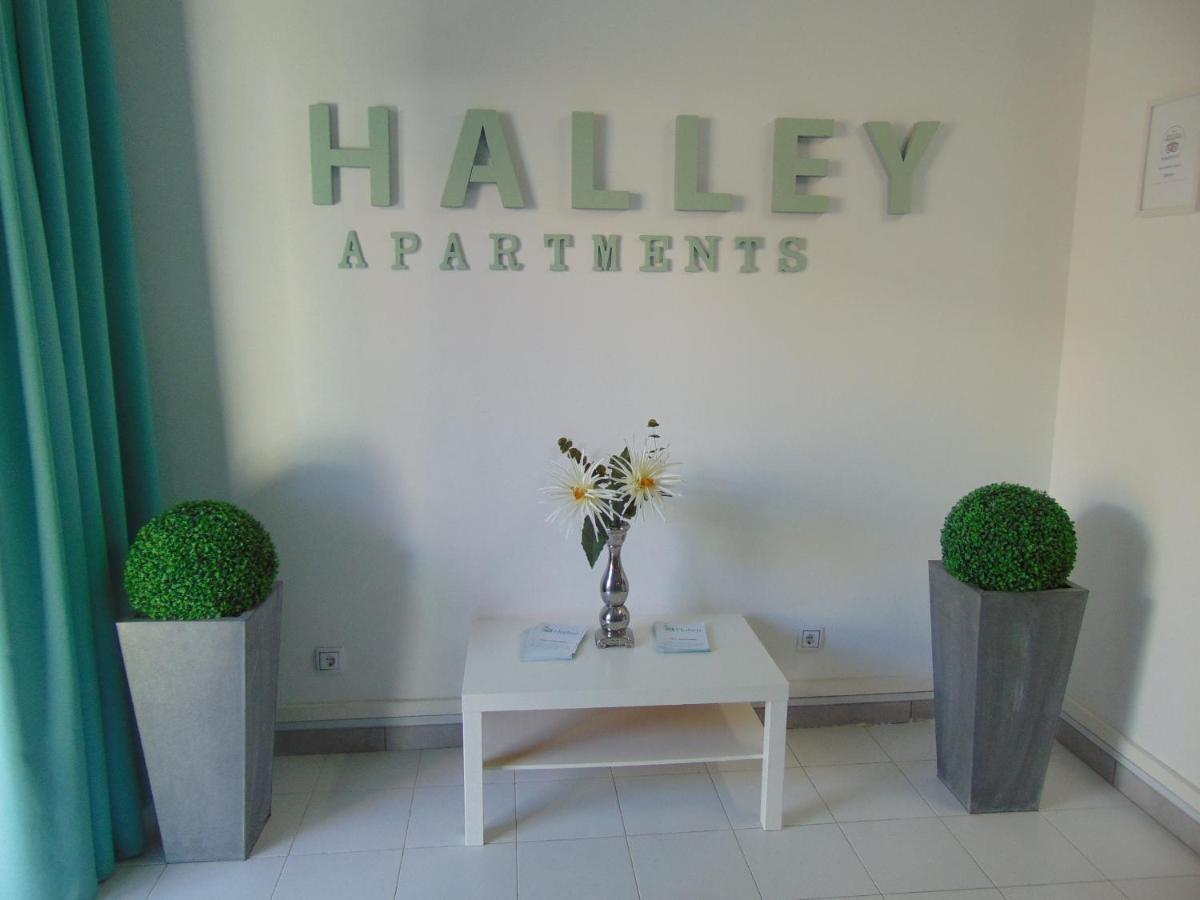 Apartamentos Halley Puerto Rico  Dış mekan fotoğraf